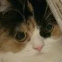 Sticker Зачем? - 7