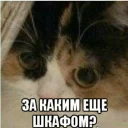 Sticker Зачем? - 0