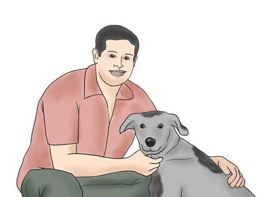 собака млекопитающее рисование