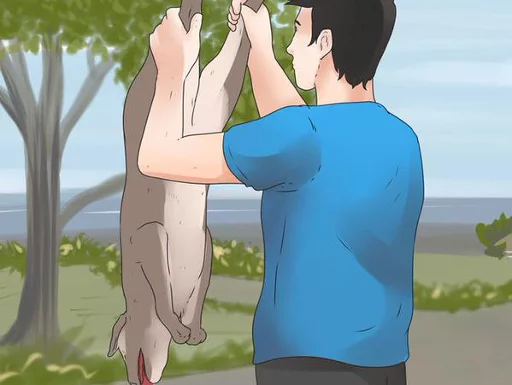 мультфильм мультипликация одежда