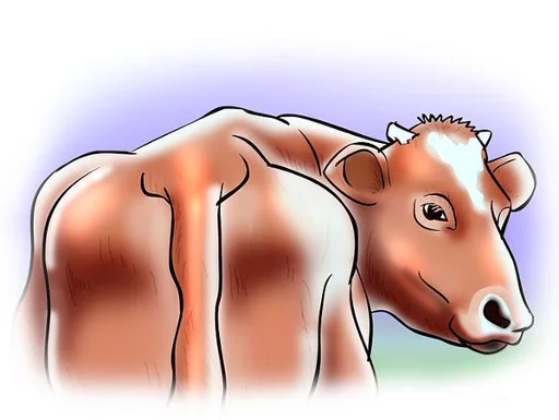 животное лошадь рисование