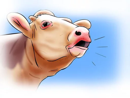 клипарт мультфильм иллюстрация