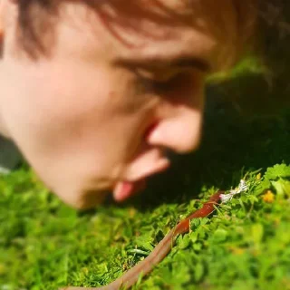 Sticker вилбуры для коя - 7