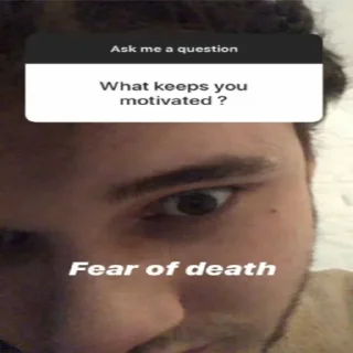 Sticker вилбуры для коя - 2