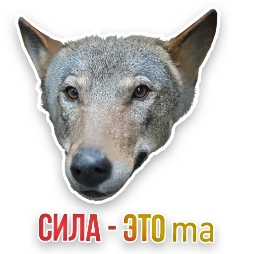 Стикер Недомашние животные :: @kgh_moscow - 11