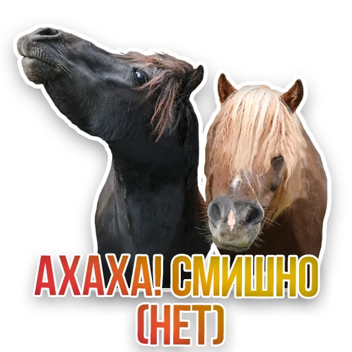 Стикер Недомашние животные :: @kgh_moscow - 9