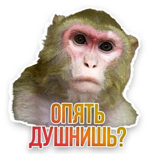 Стикер Недомашние животные :: @kgh_moscow - 8