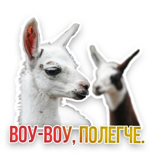 Стикер Недомашние животные :: @kgh_moscow - 7