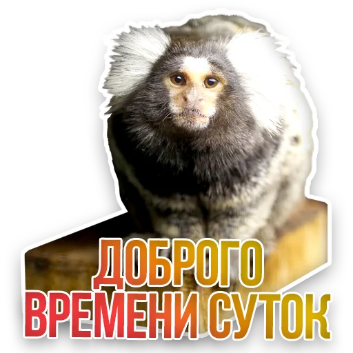 Стикер Недомашние животные :: @kgh_moscow - 6