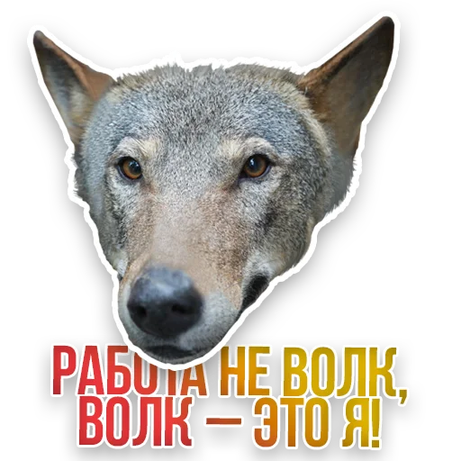 Стикер Недомашние животные :: @kgh_moscow - 3