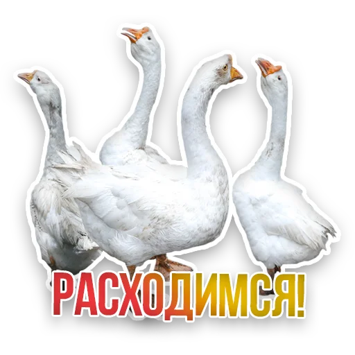 Стикер Недомашние животные :: @kgh_moscow - 1