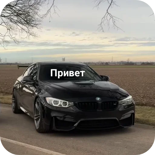 Стикер WildCars - 1