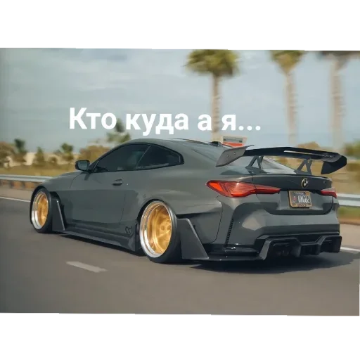 Sticker WildCars - 1