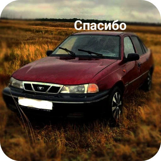 Sticker WildCars - 1