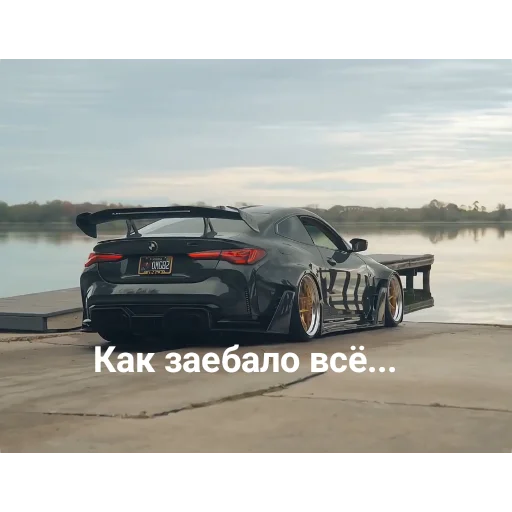 Sticker WildCars - 1