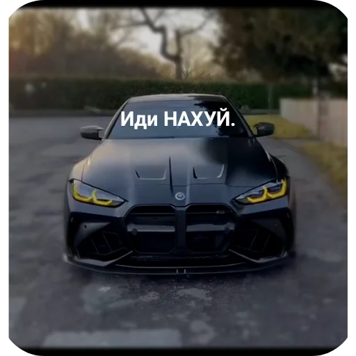 Стикер WildCars - 1