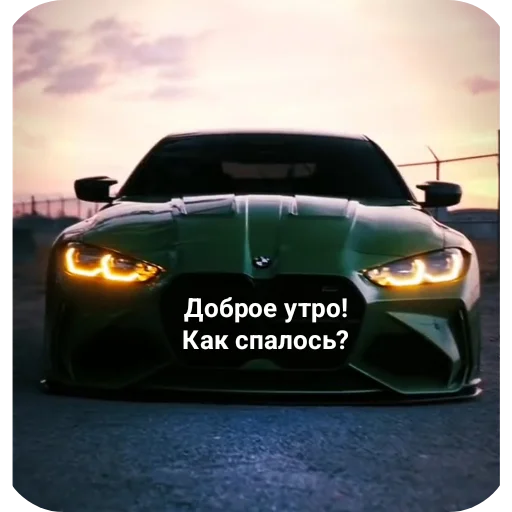 Sticker WildCars - 1