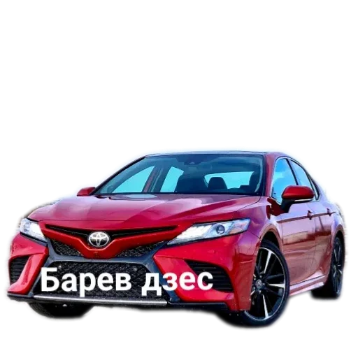 Sticker WildCars - 1