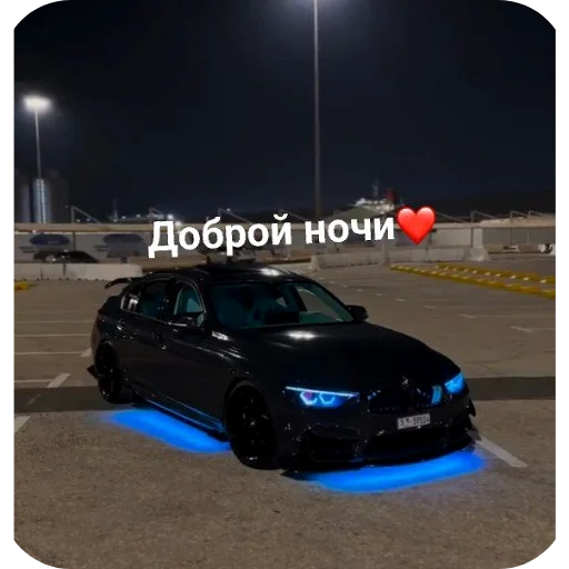 Sticker WildCars - 1