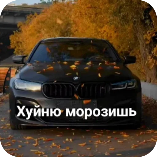 Sticker WildCars - 1