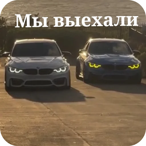 Стикер WildCars - 1