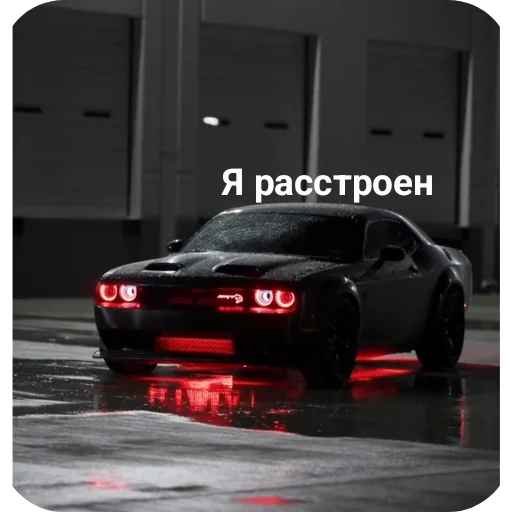 Sticker WildCars - 1