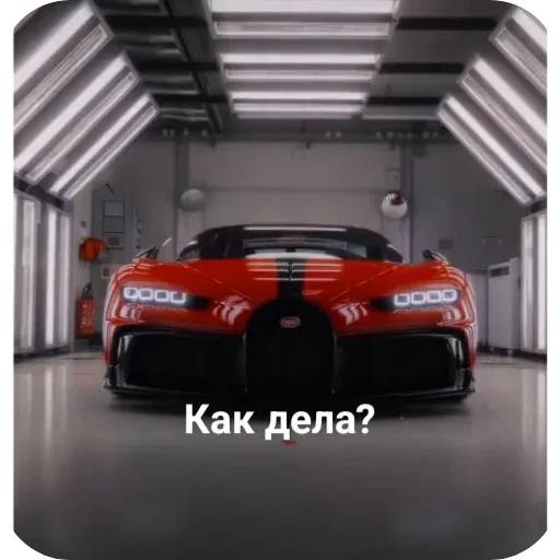 Стикер WildCars - 1