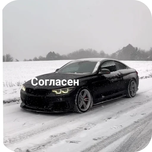 Sticker WildCars - 1