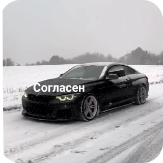 Sticker Wildcars @bmwstikers @wildphonkmusic - 0