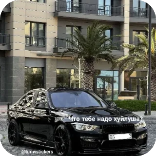 Стикер Wildcars 2.0 @bmwstikers @wildphonkmusic - 8