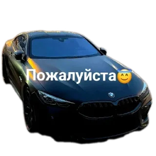 Стикер Wildcars 2.0 @bmwstikers @wildphonkmusic - 9