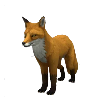 Стикер Wild Craft | Вайлд Крафт - 0