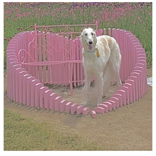 Стикер Windhundd - 1