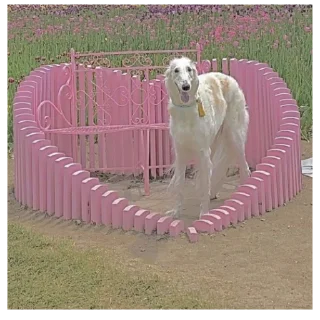 Sticker Борзы - 1