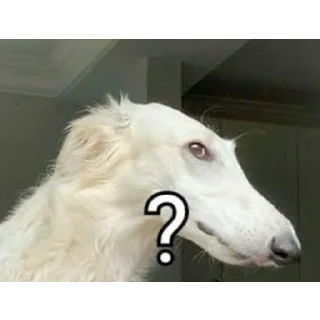 Sticker Борзы - 7