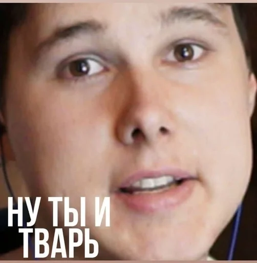 human face eyebrow person