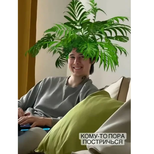 Sticker Windy31_Haosit_Andrei - 1