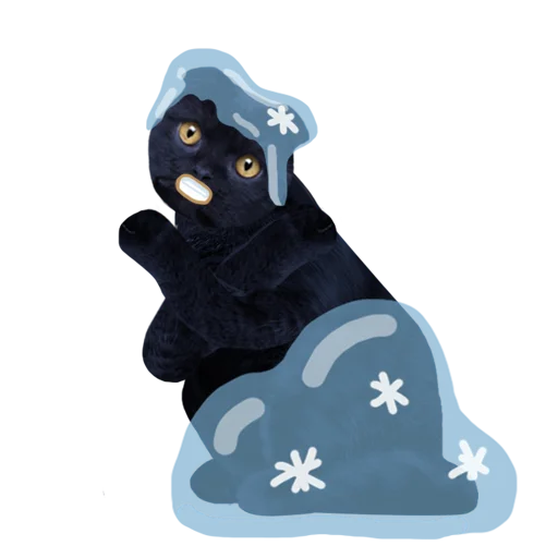 мультфильм млекопитающее медведь