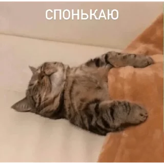 Sticker От Саксона - 3