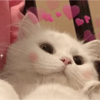 Sticker От Саксона - 8