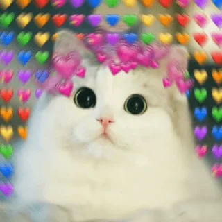 Sticker От Саксона - 4