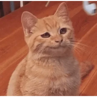 Sticker От Саксона - 11