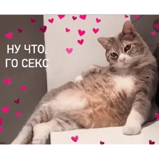 Sticker От Саксона - 6