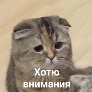 Sticker От Саксона - 0