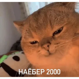 Sticker От Саксона - 10