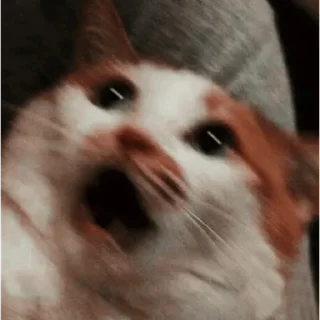 Sticker От Саксона - 5