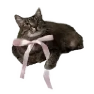 Стикер 🎀 @emojipipka @emojis4 - 0