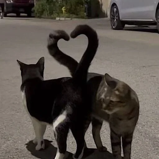 Sticker WitnessBOT - 1