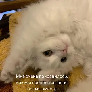 Стикер witness botik - 3