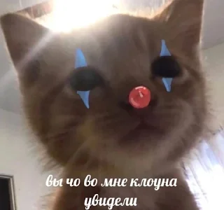 Стикер witness botik - 2